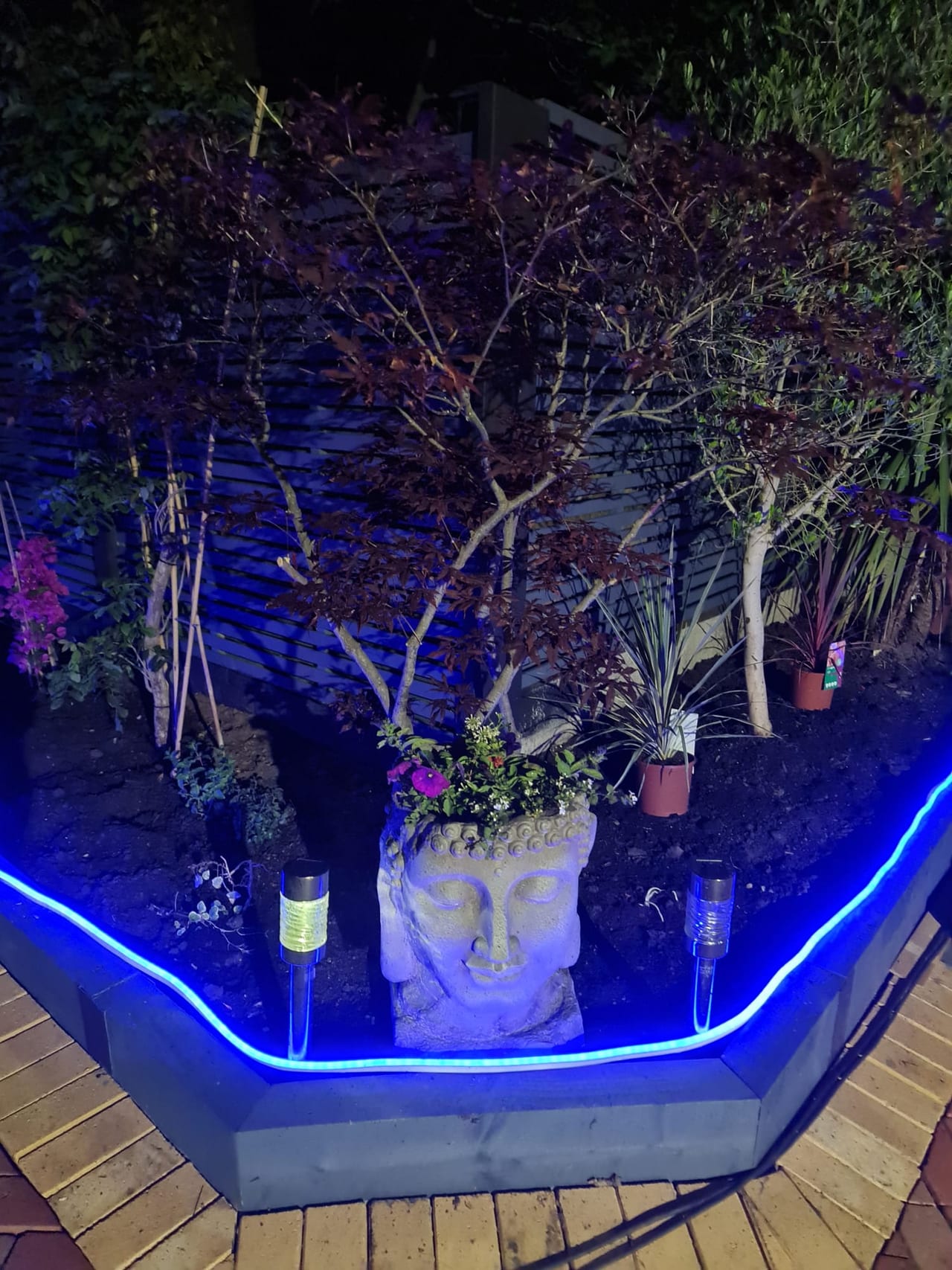 Raised garden planter edged with blue lighting beside a paved path at night.